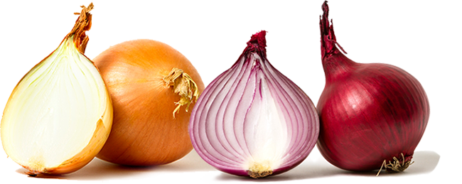 Heart of the onion