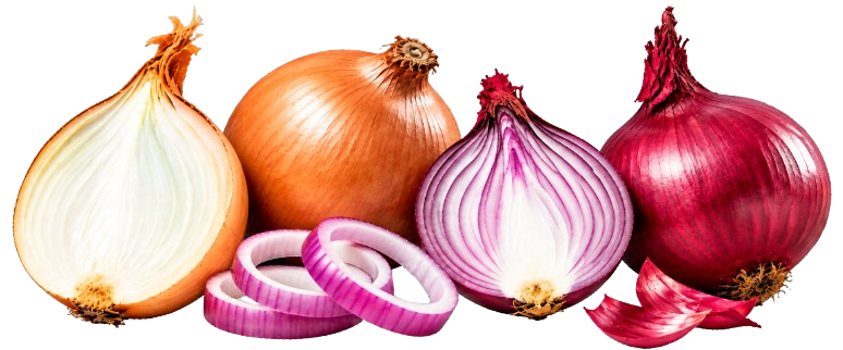 Assortment of Red Impex export-grade onions, whole, halved and sliced