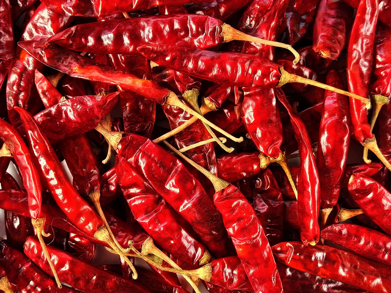 Pile of dried red chillies