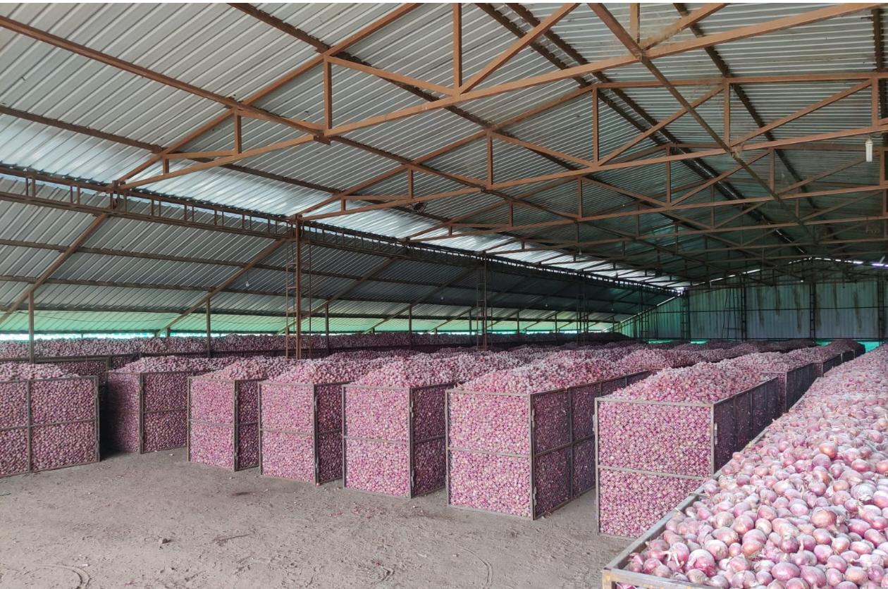 Rows of onion crates and bulk storage inside the Red Impex warehouse